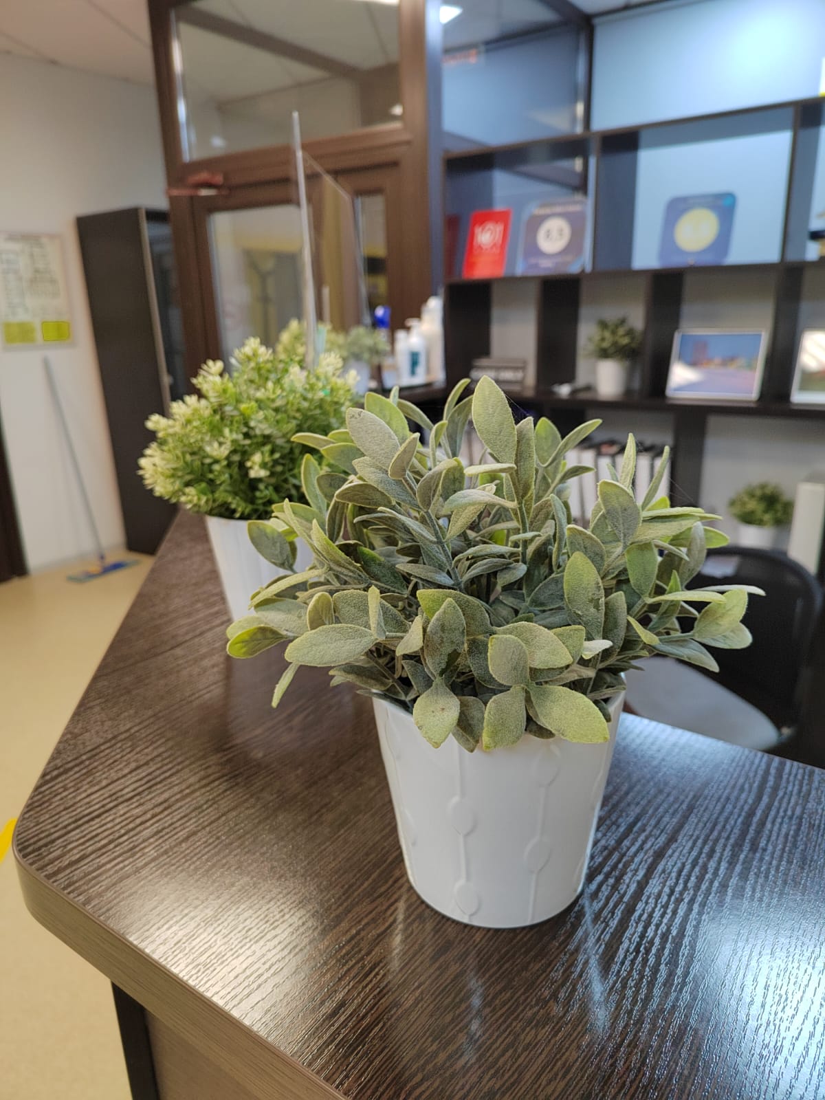 Фото Победа