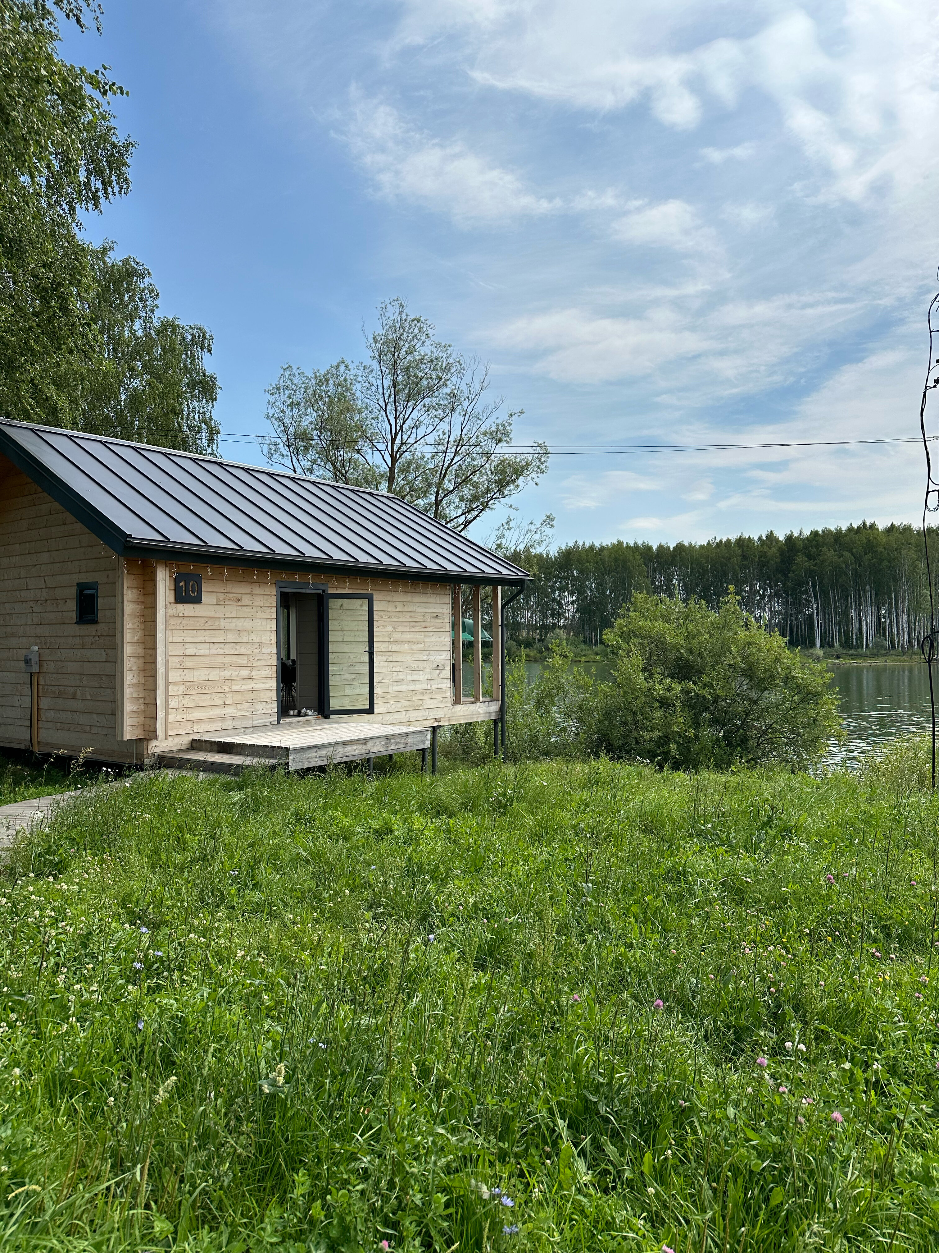 Фото Бобры и Утки