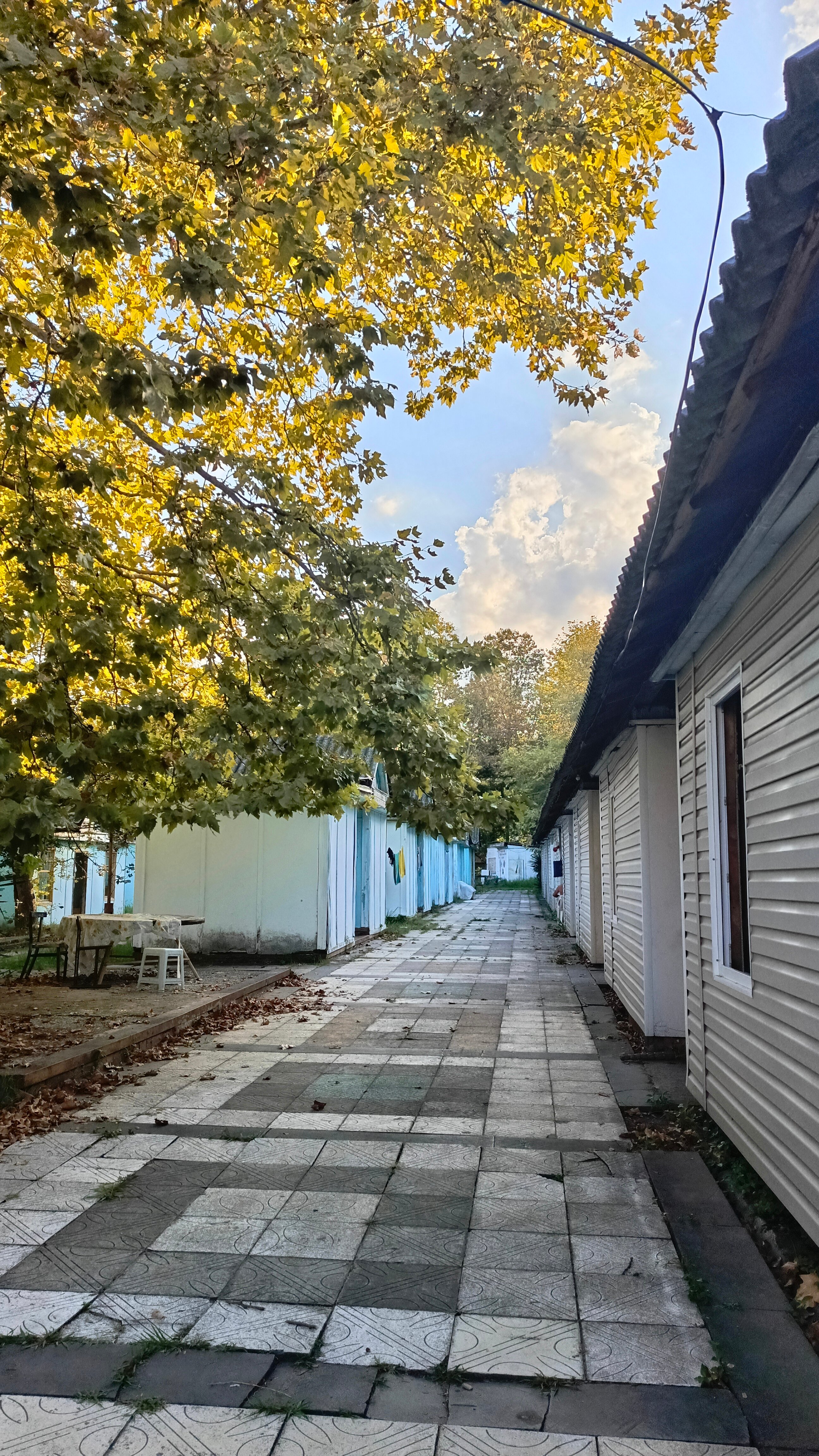 Фото Тур-Сервис