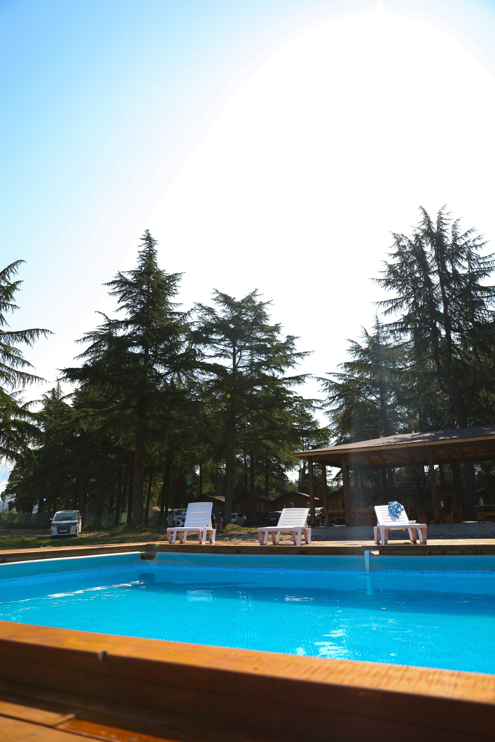 Фото Эко-отель Кедровый