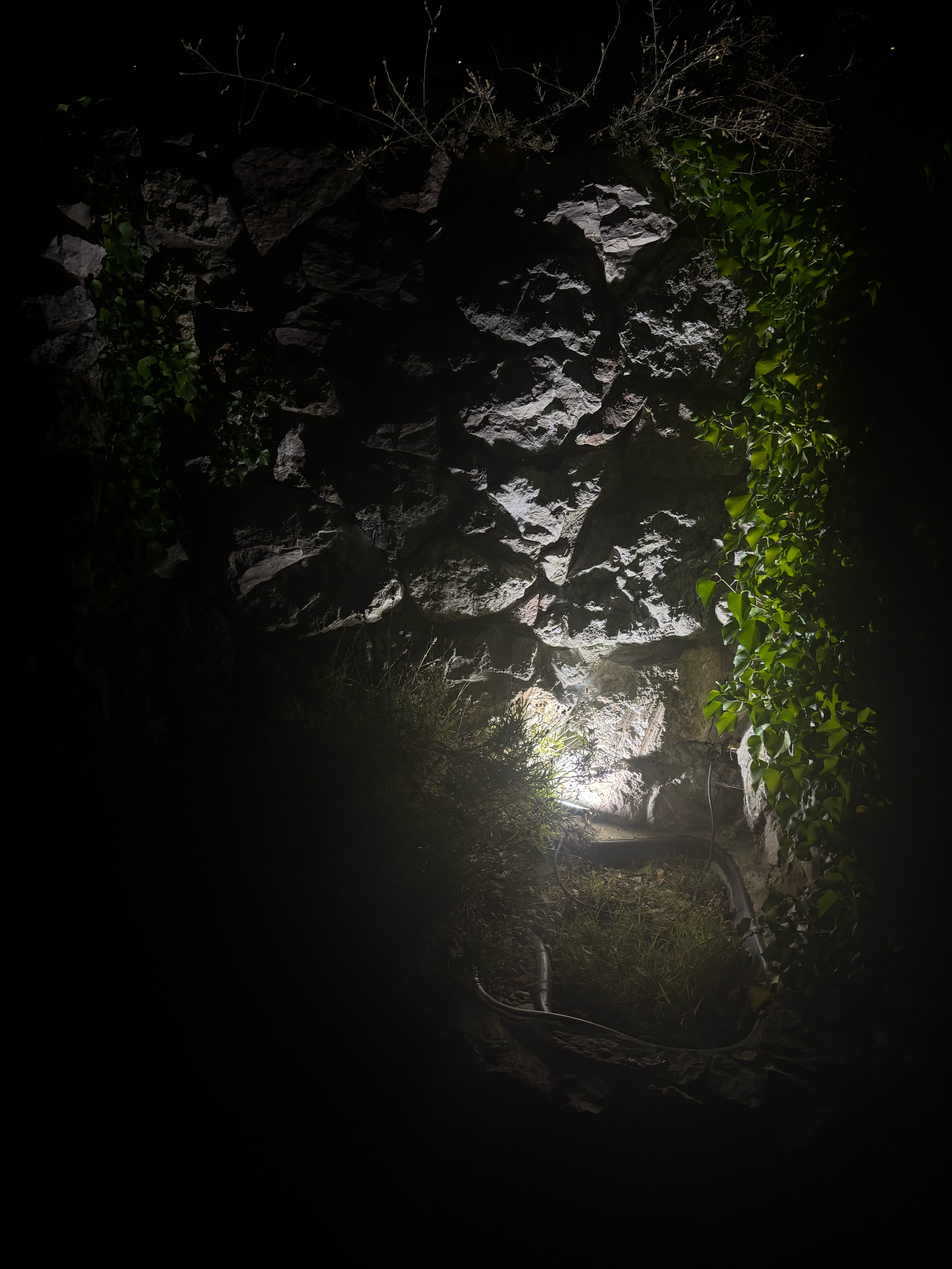 Фото Солярис