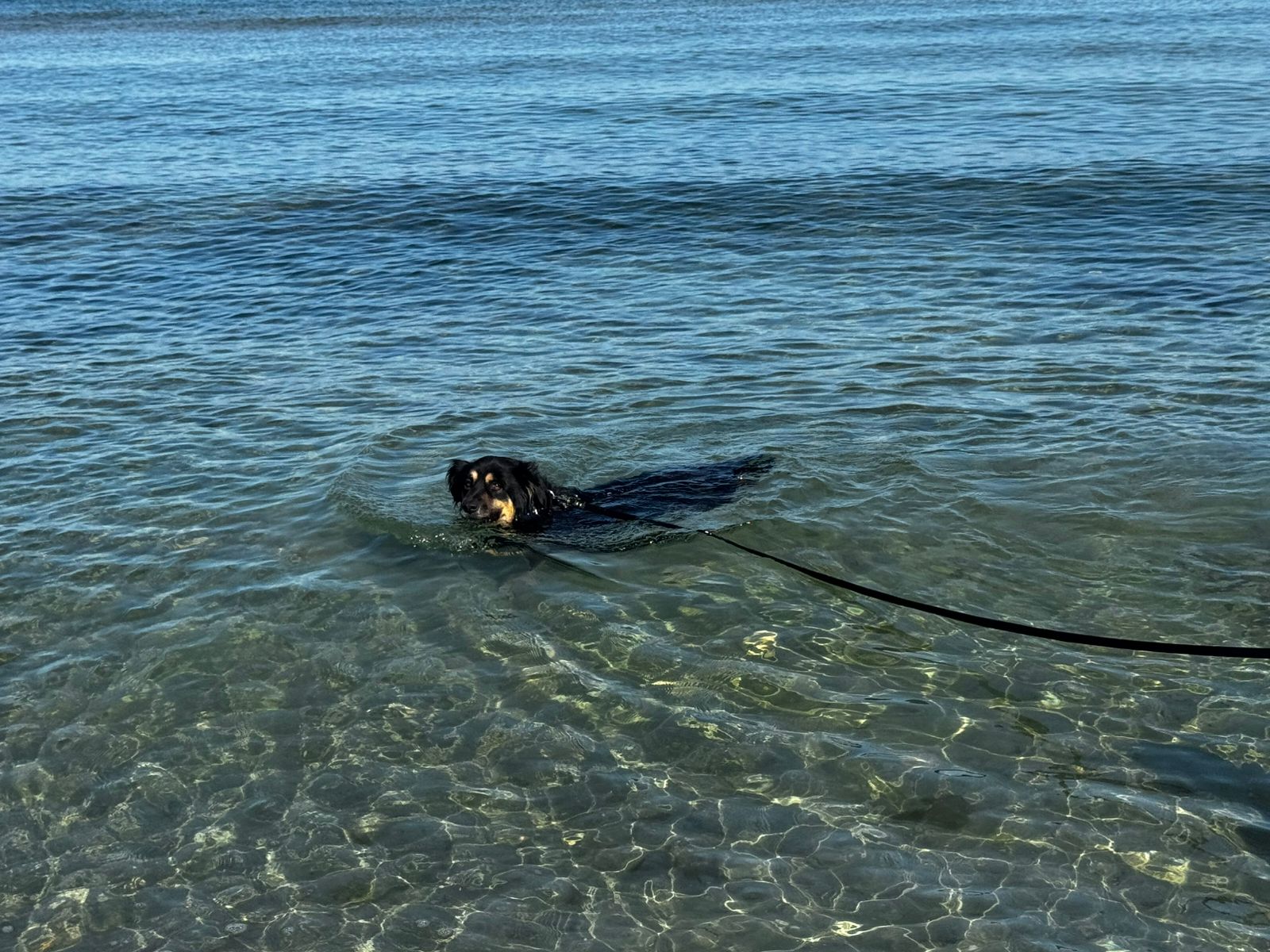 Фото Клуб любителей моря