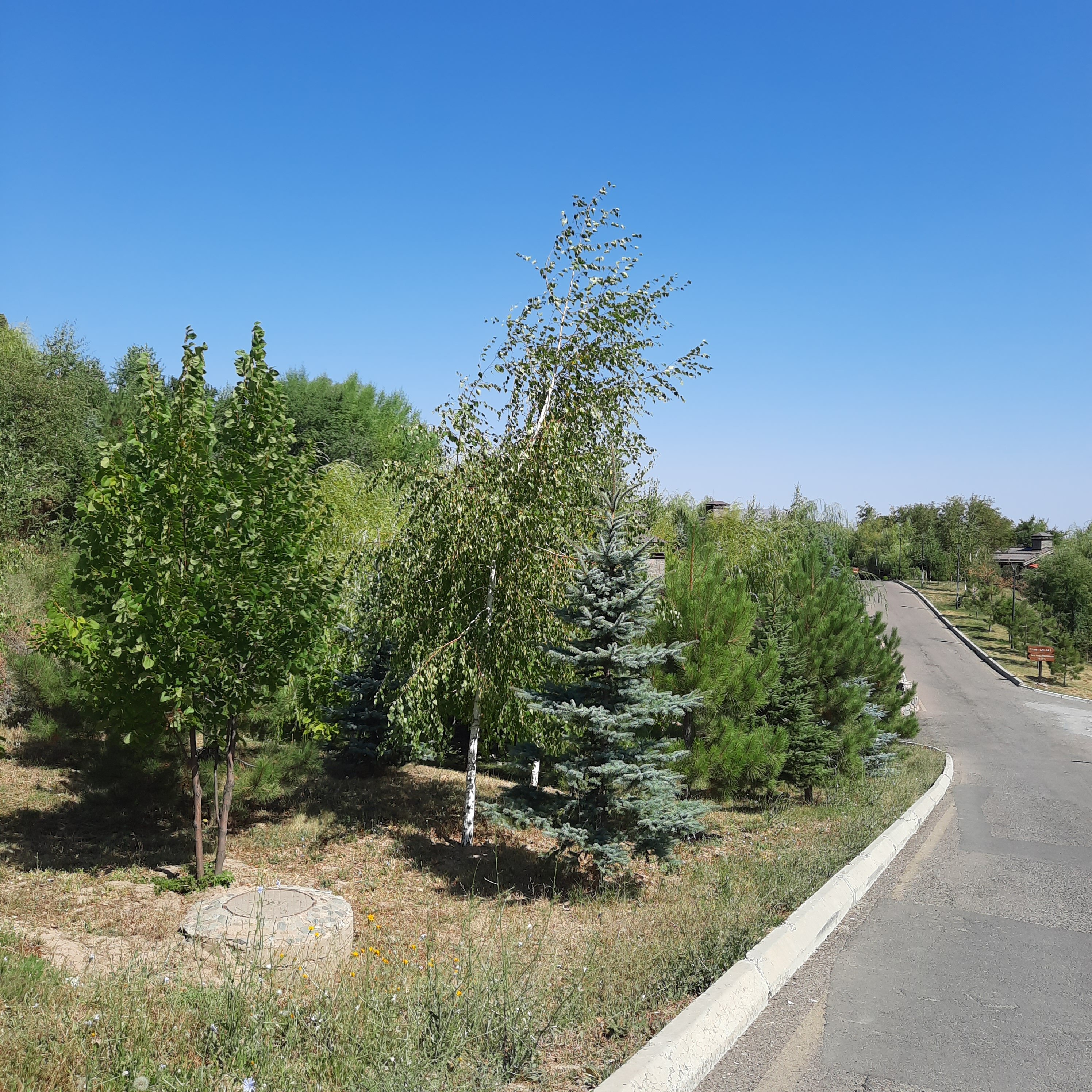 Фото Le Chalet by Amirsoy