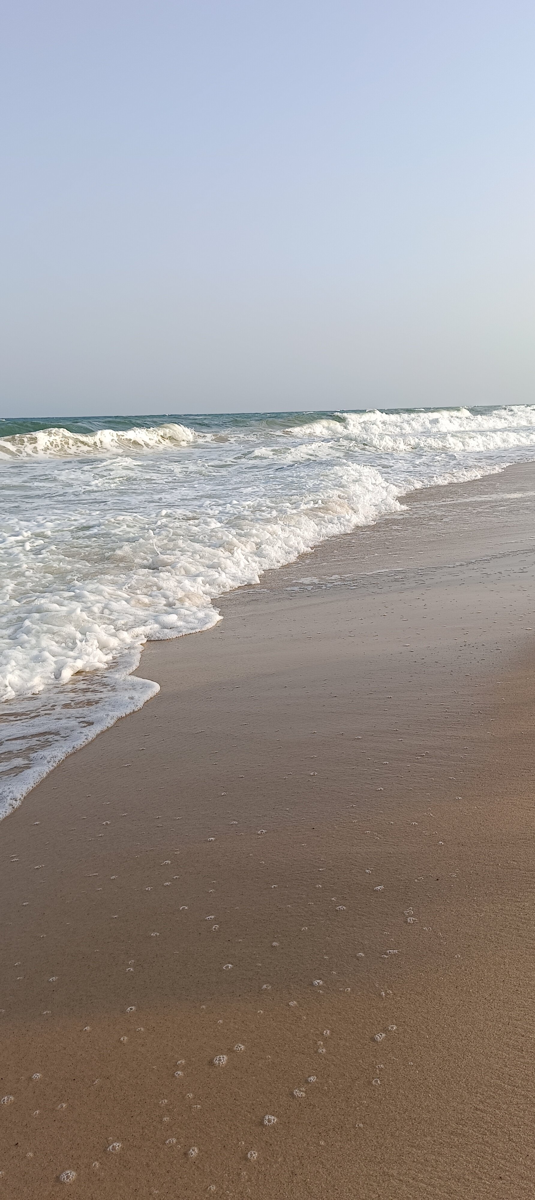 Фото Golden Tulip Taj Sultan