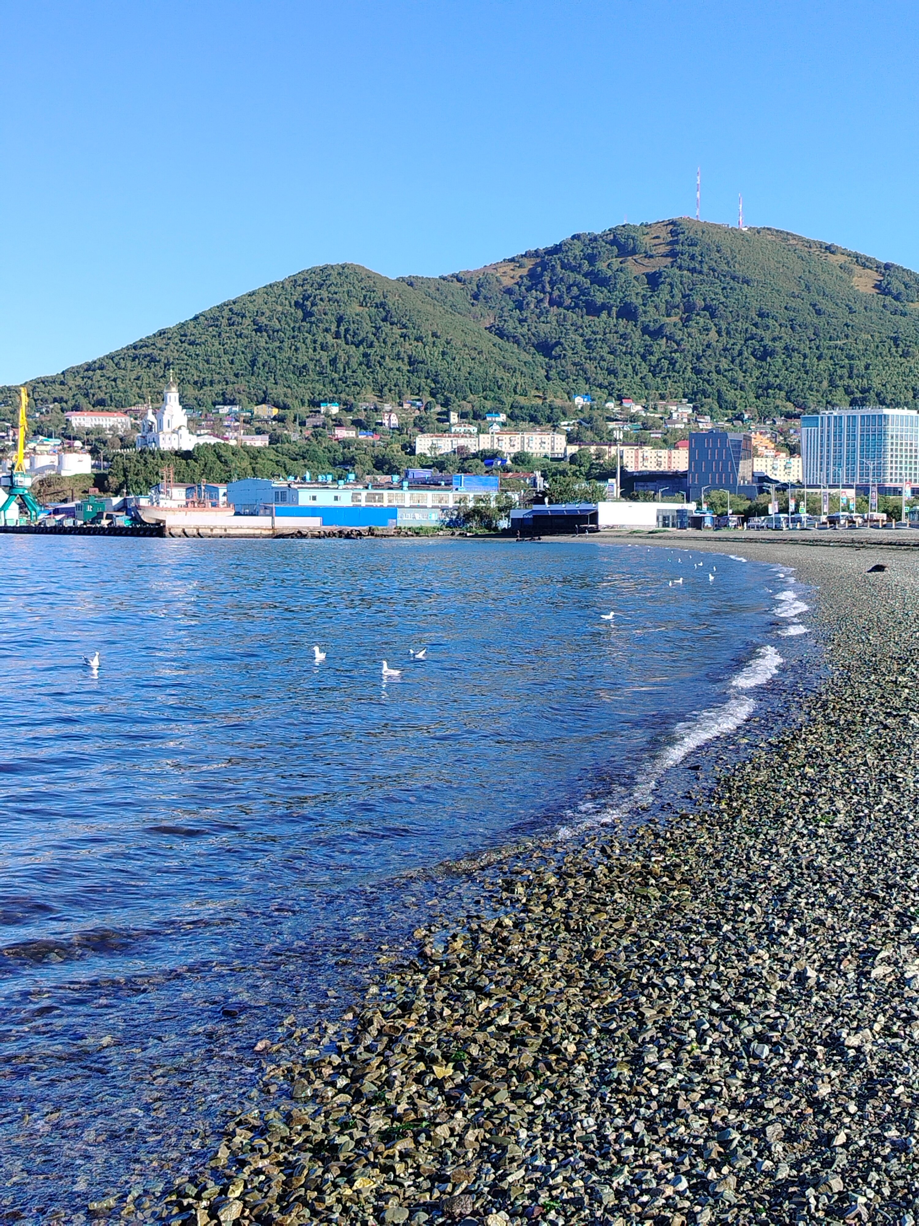 Фото Командор