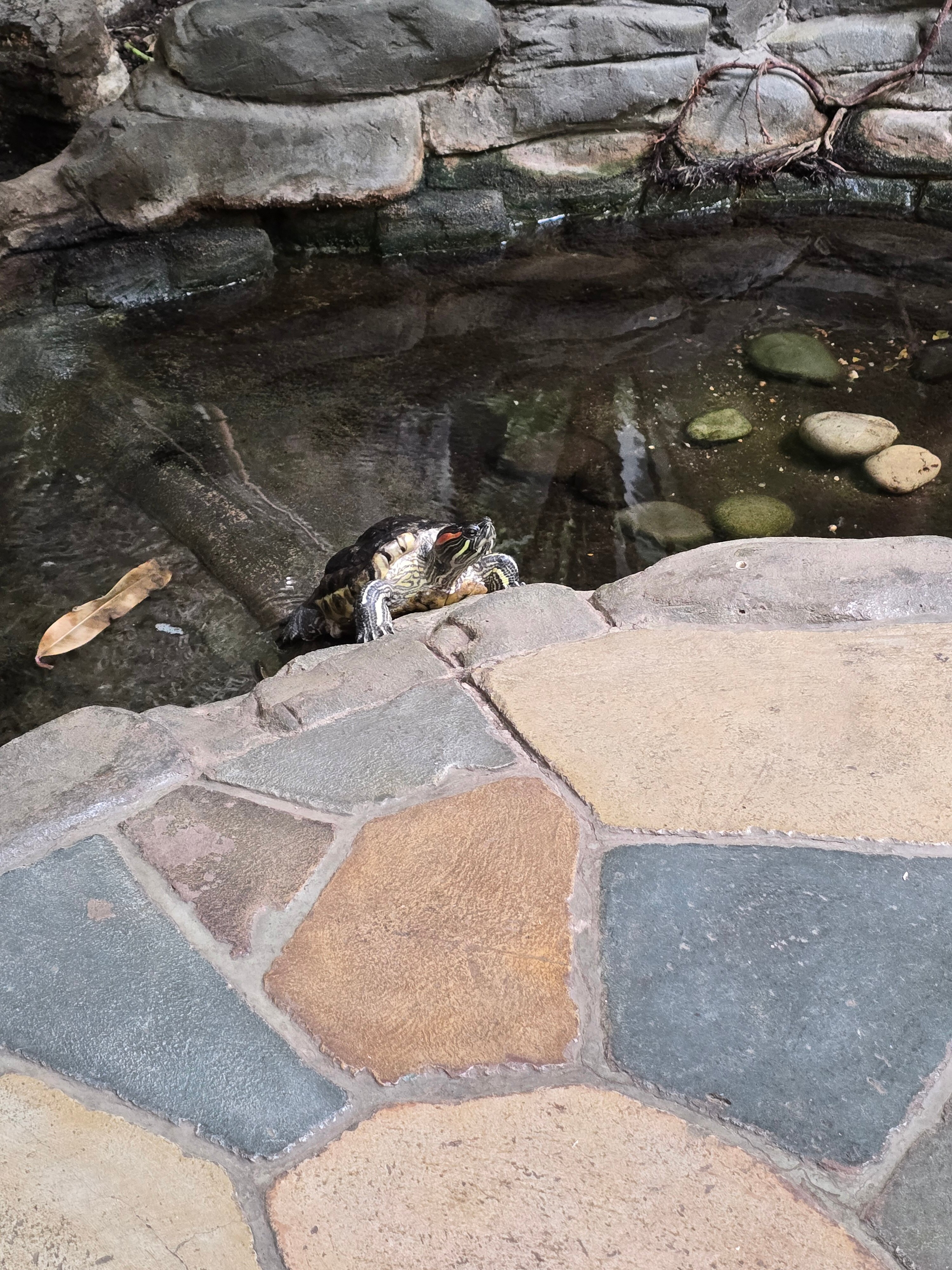 Фото Сретенская