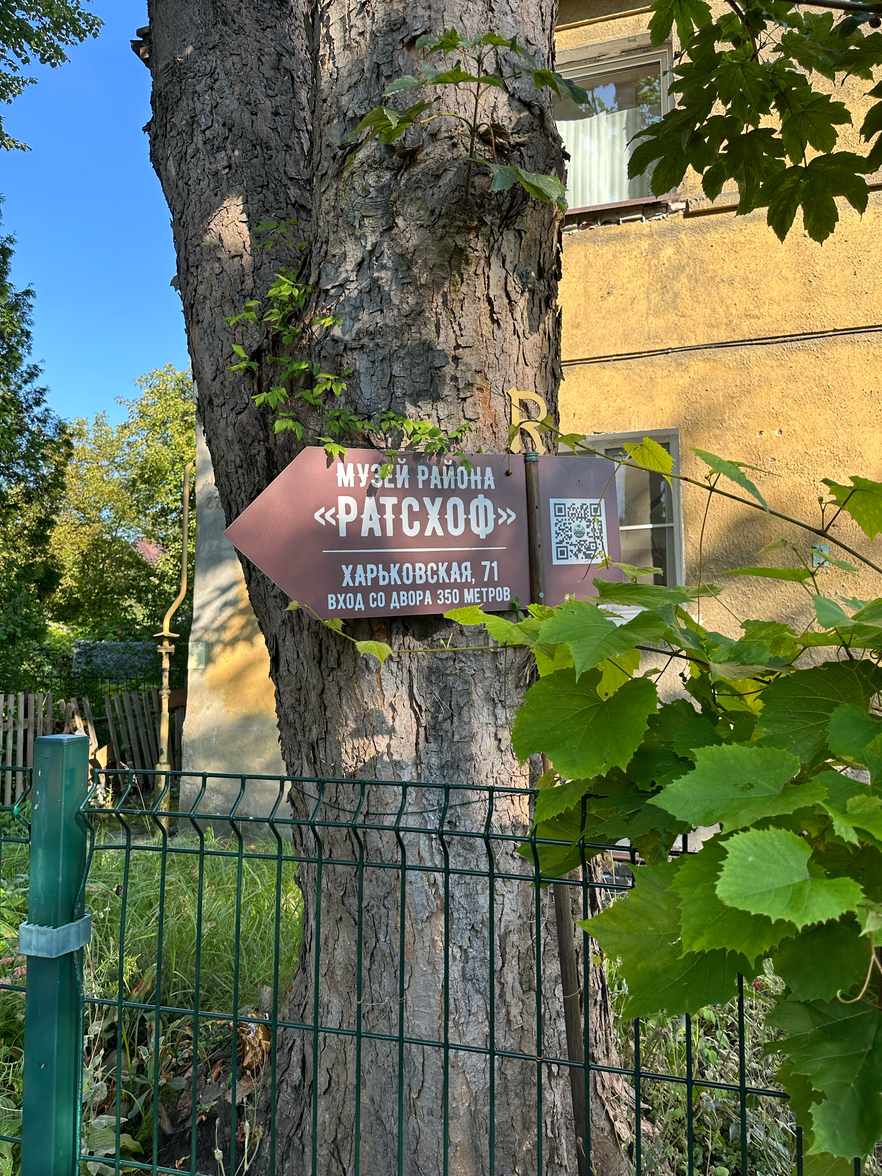 Фото Альтхоф