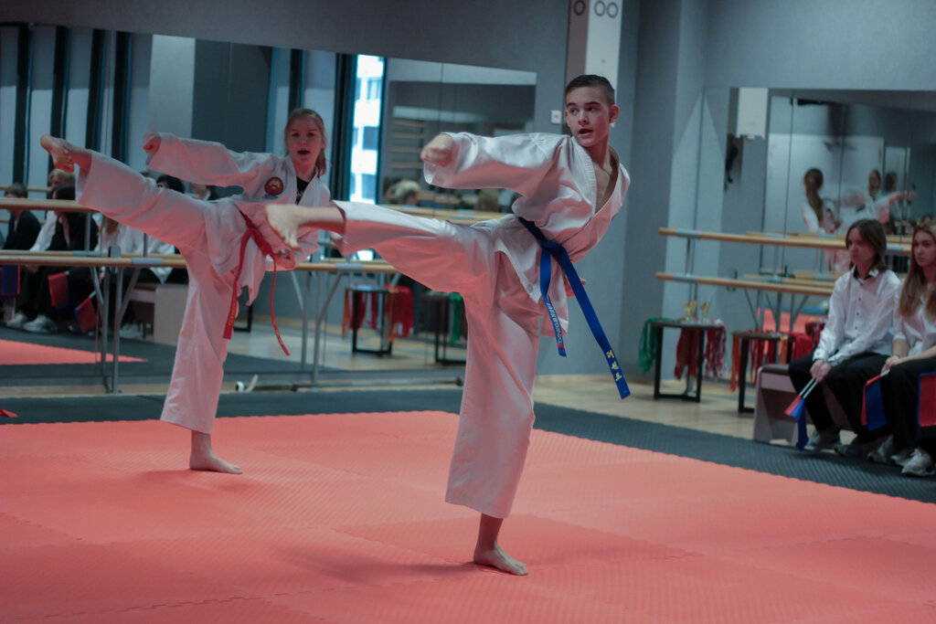 Sports club Школа тхэквондо Регузова Вячеслава, Domodedovo, photo