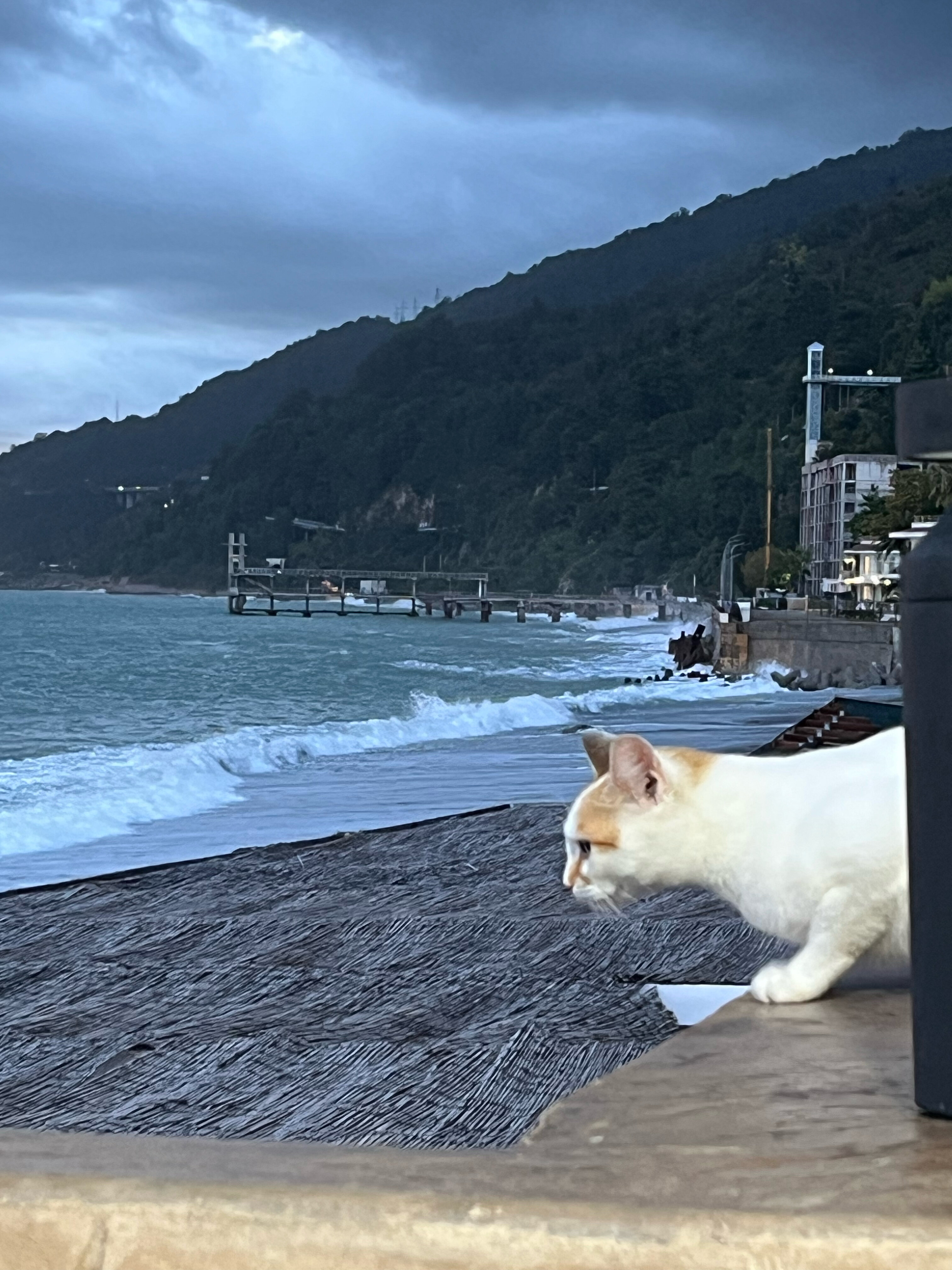 Фото Бухта Мечты