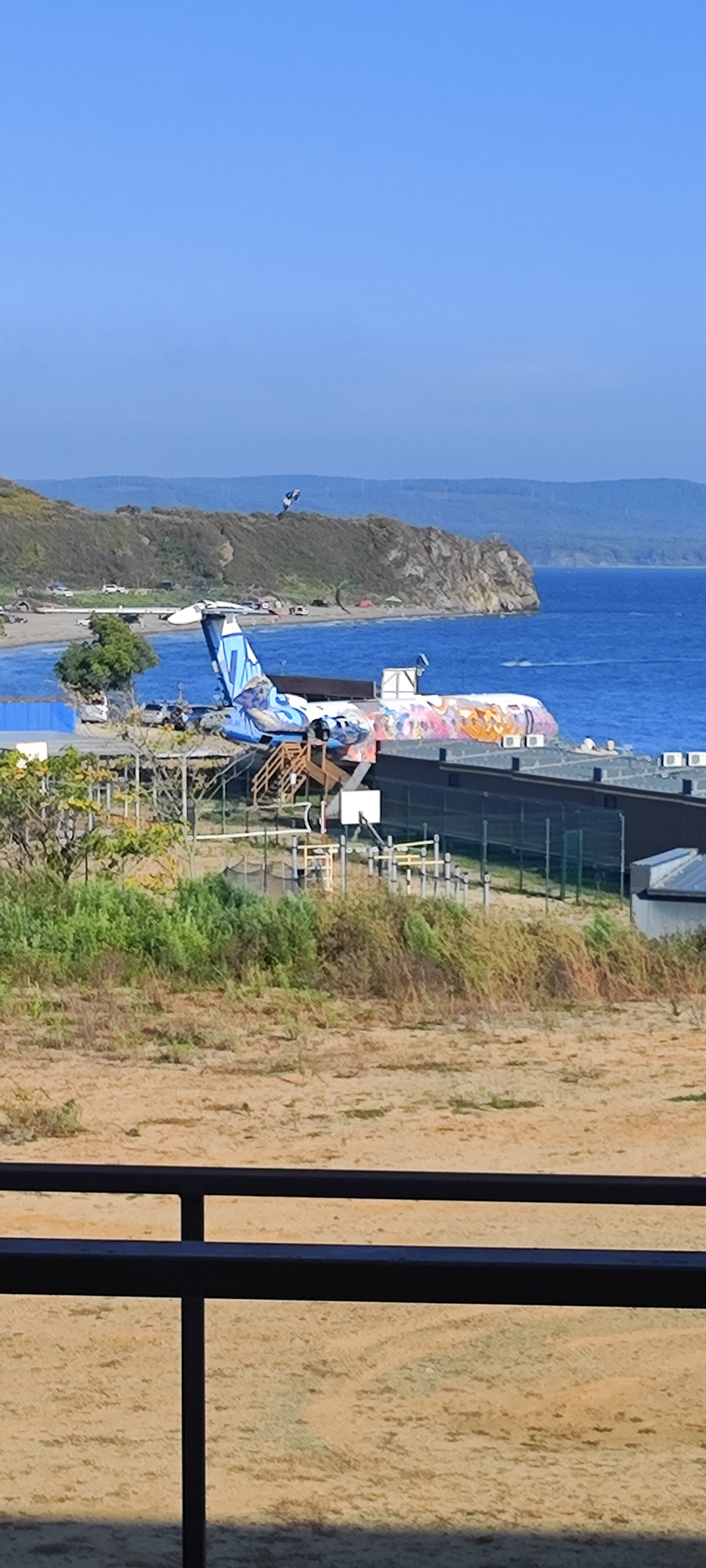 Фото Лазурная черепаха