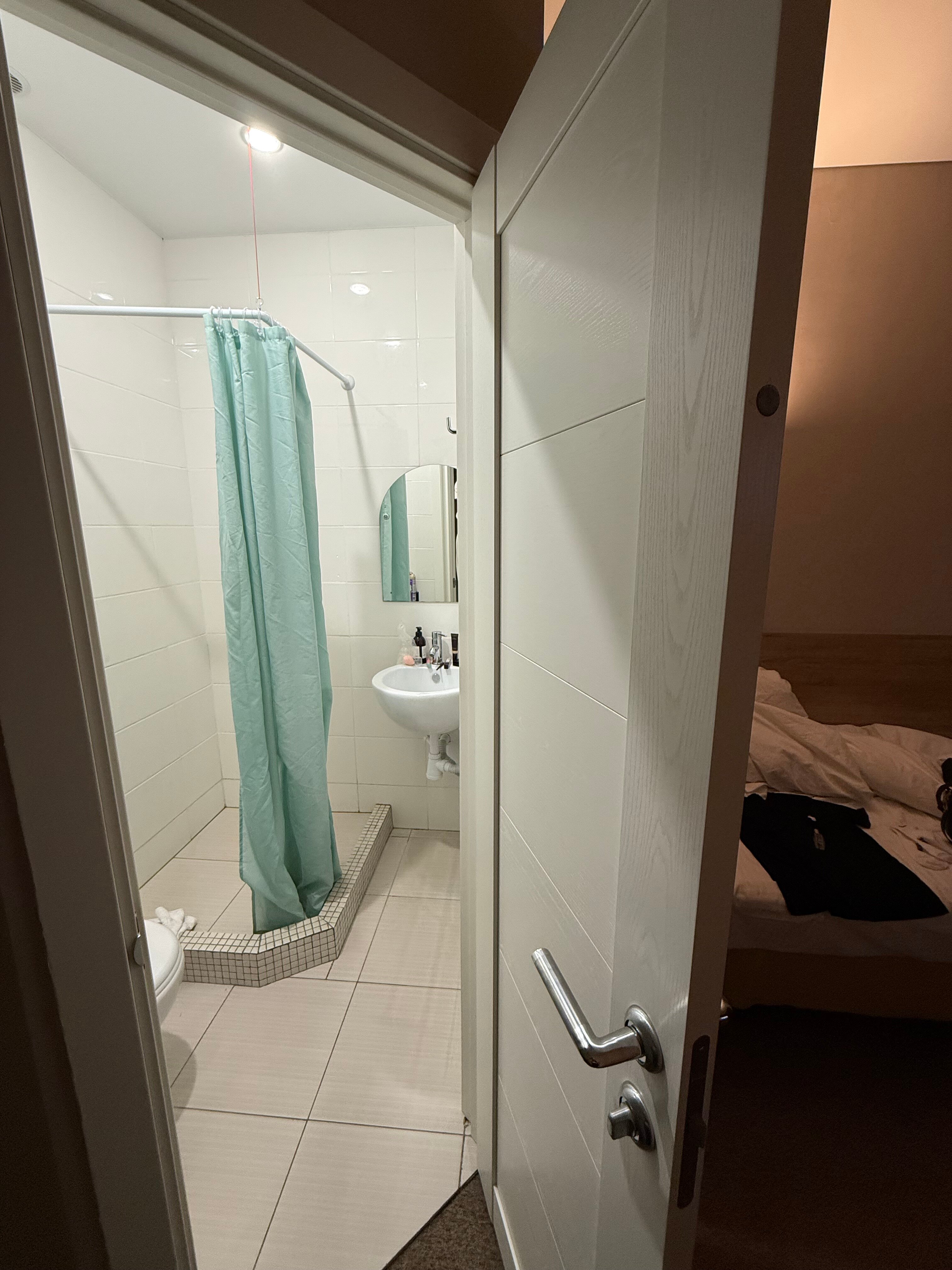 Фото Сова в Шереметьево