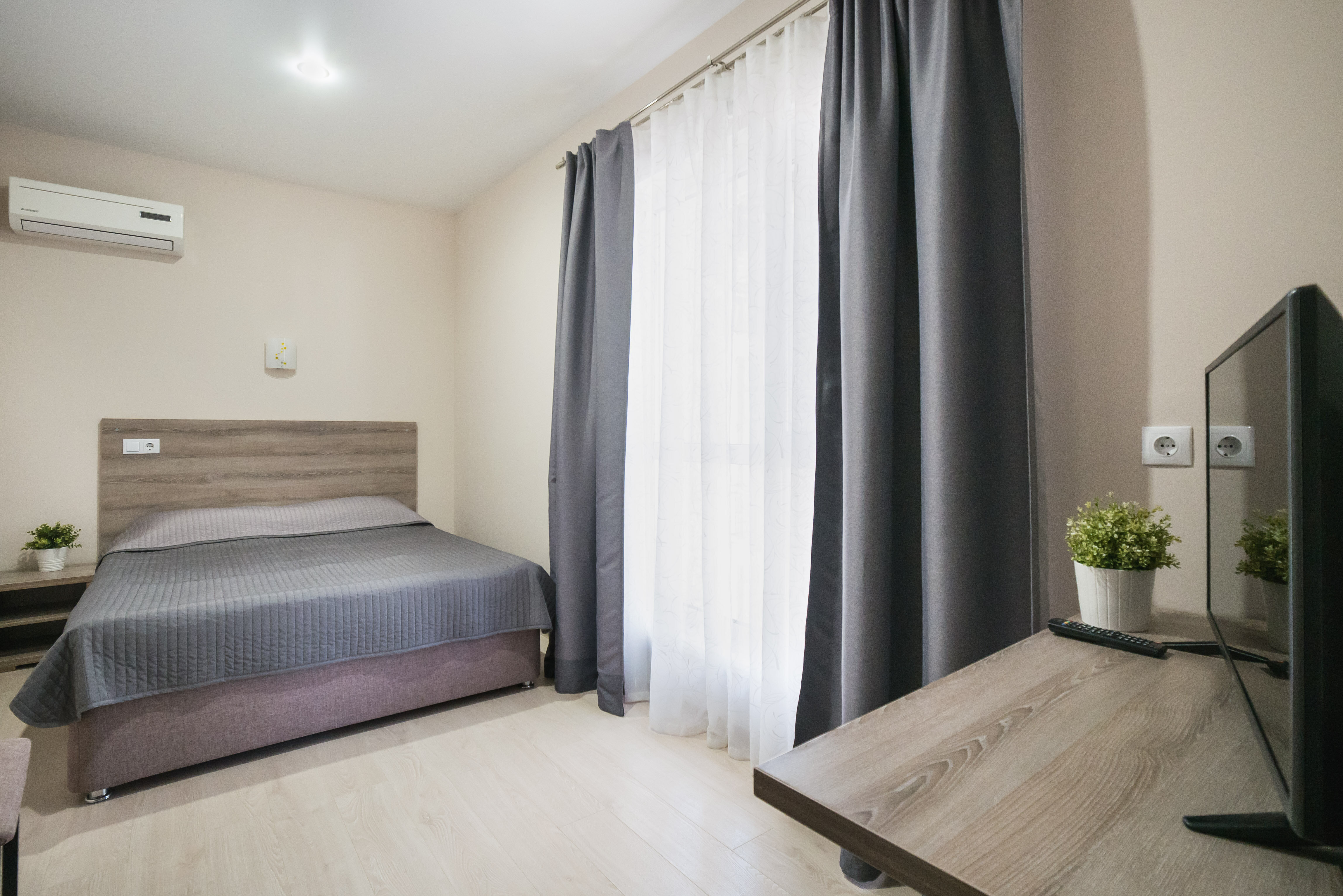 Фото Абрикос Плюс