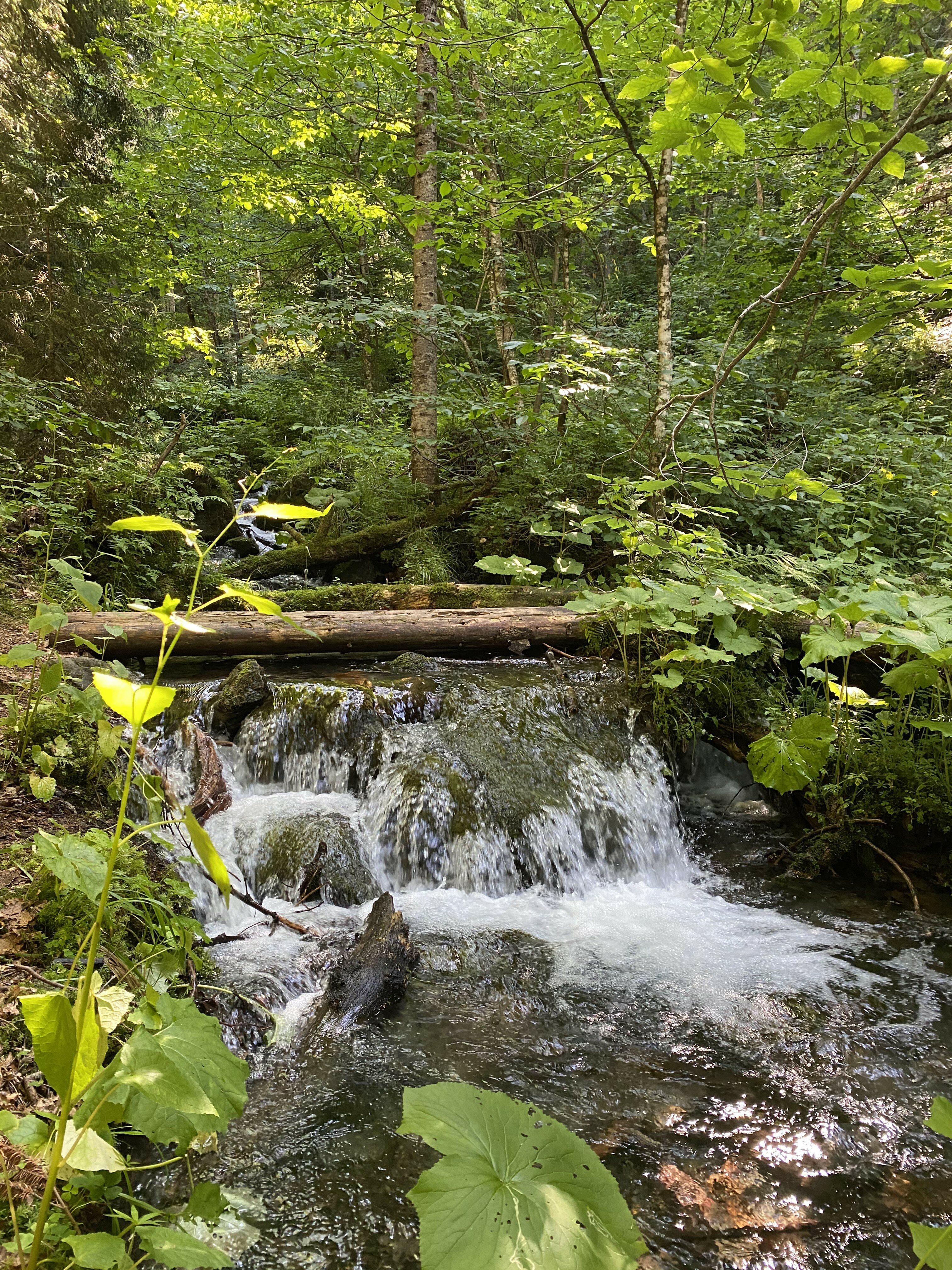 Фото Времена Года