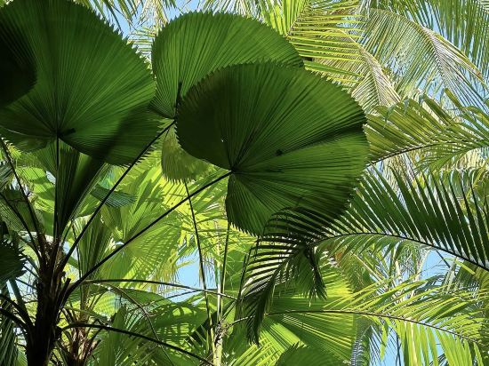 Фото Parkroyal Penang Resort