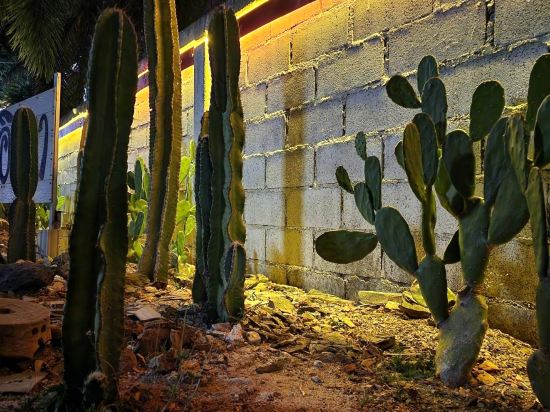 Фото Ingpha Room for rent