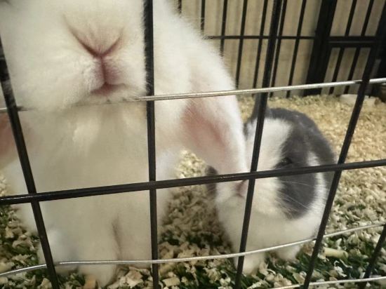 Фото Xiedu Hangchen International Hotel