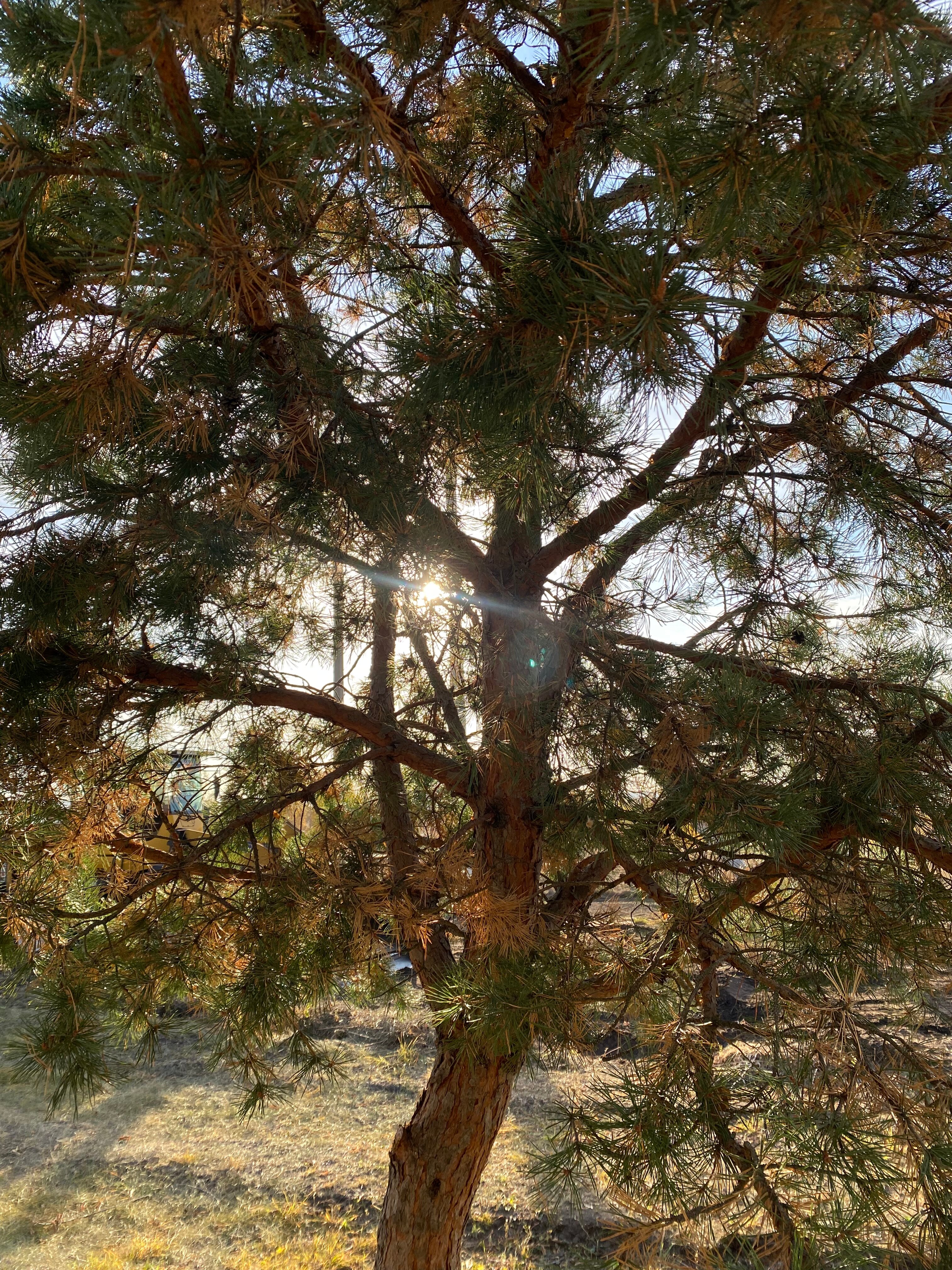 Фото Это база