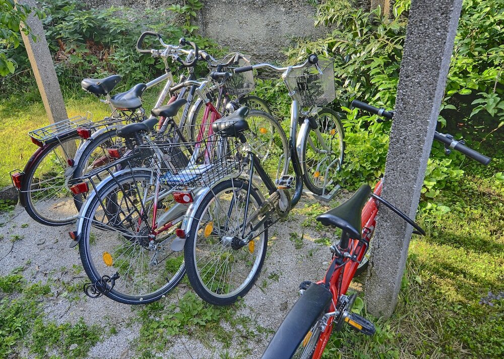 Фото Family Guesthouse GreenSLO