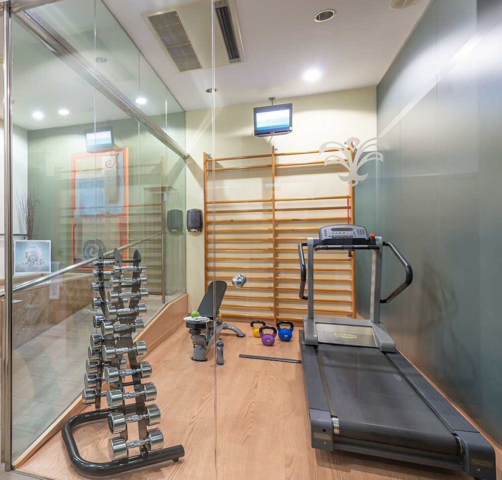 Фото Hotel SPA Termes Carlemany