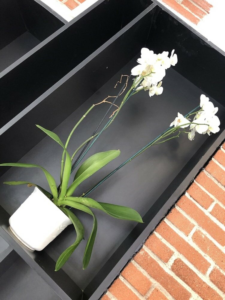 Фото Hôtel Victor Hugo