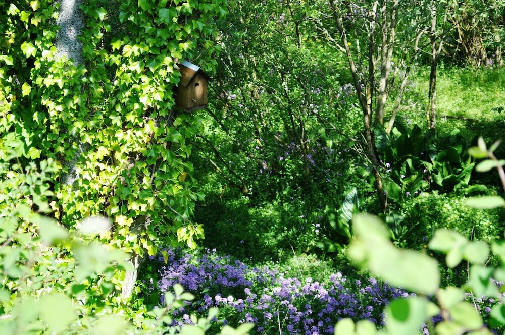 Фото Craigmhor Lodge & Courtyard