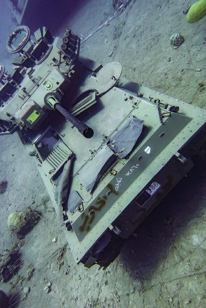 Фото Southern Star Club