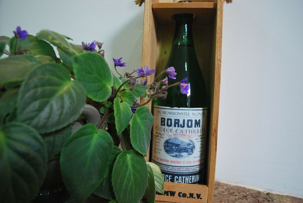 Фото Hotel Old Borjomi