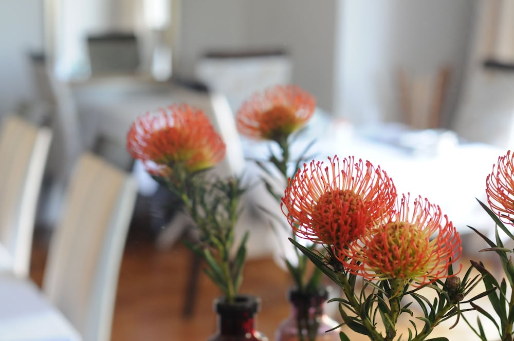 Фото Abbey Manor Luxury Guesthouse