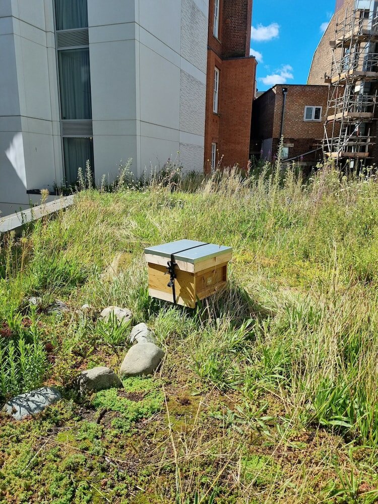 Фото The Dixon Autograph Collection