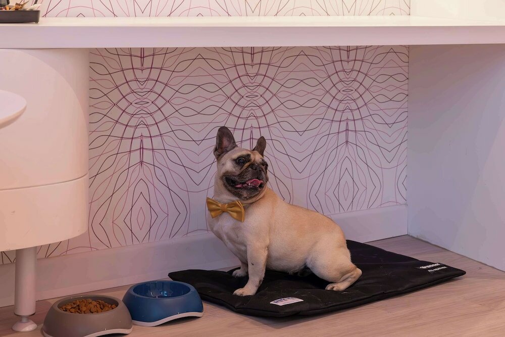 Фото Park Inn by Radisson Amsterdam City West