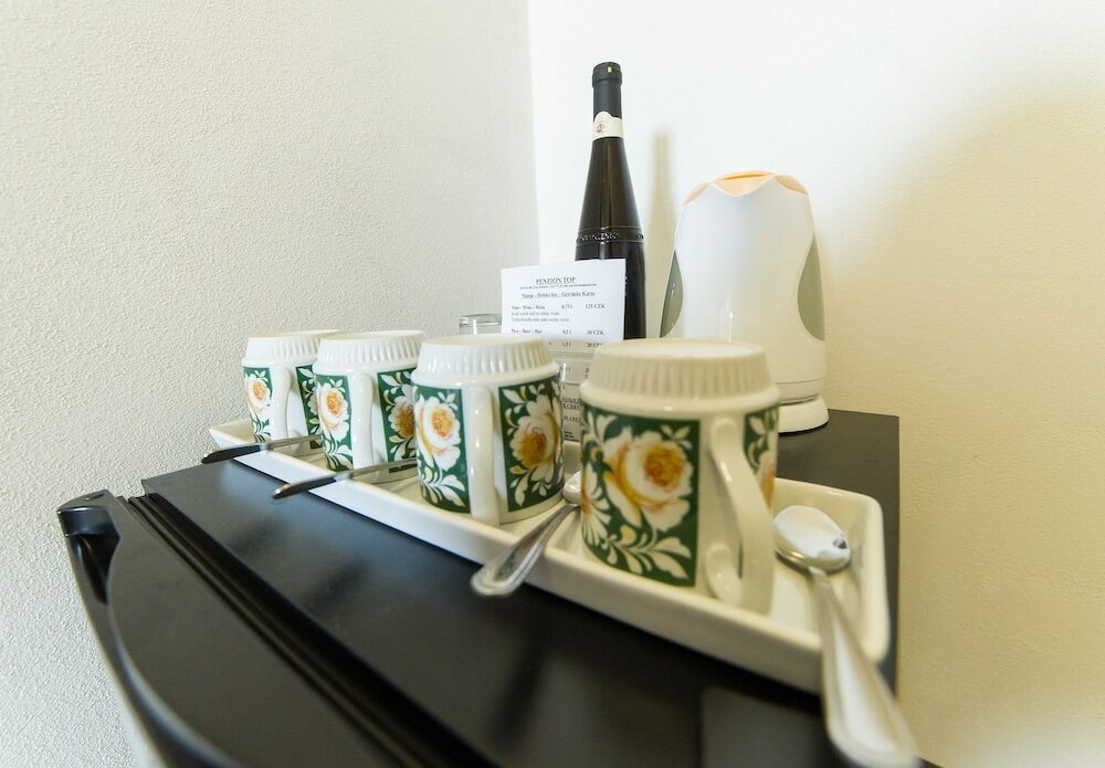 Фото Penzion Top