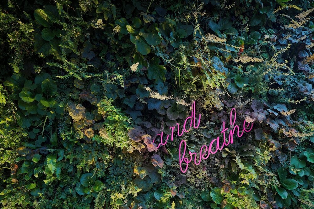 Фото Kimpton De Witt Amsterdam