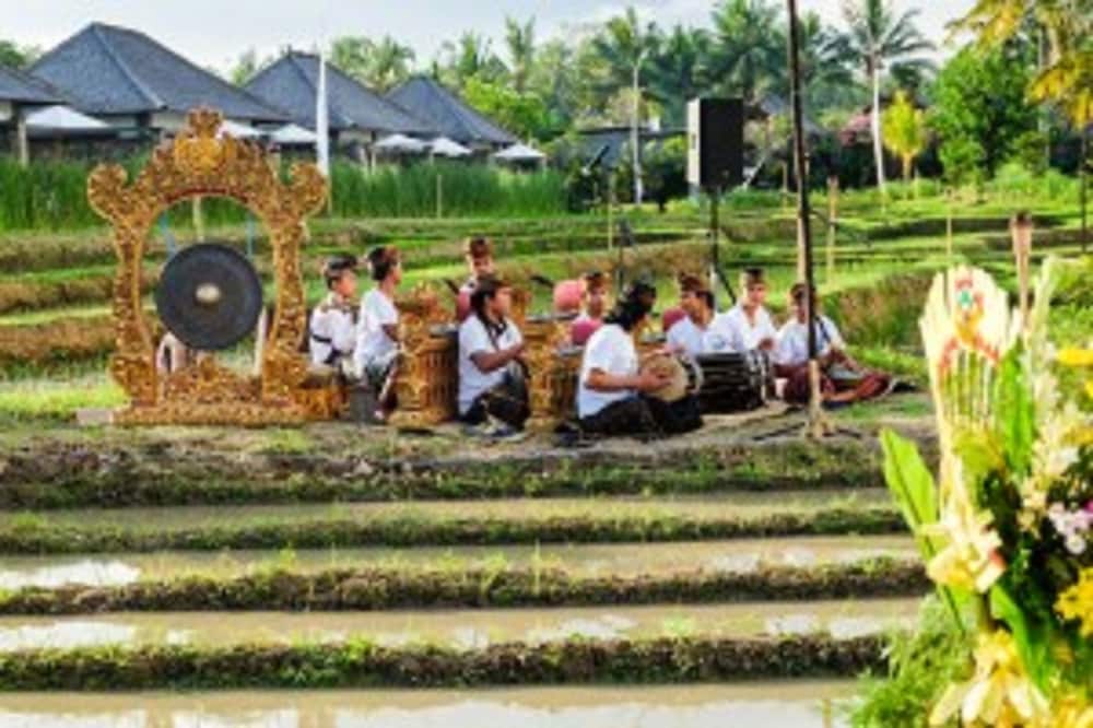 Фото Visesa Ubud Resort