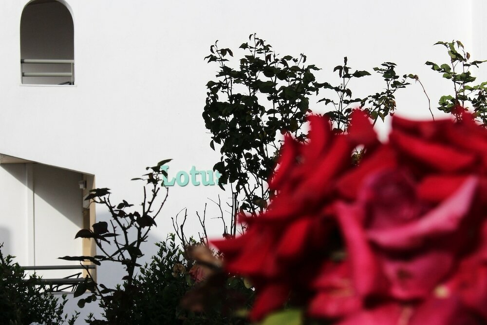 Фото Skion Palace Beach Hotel