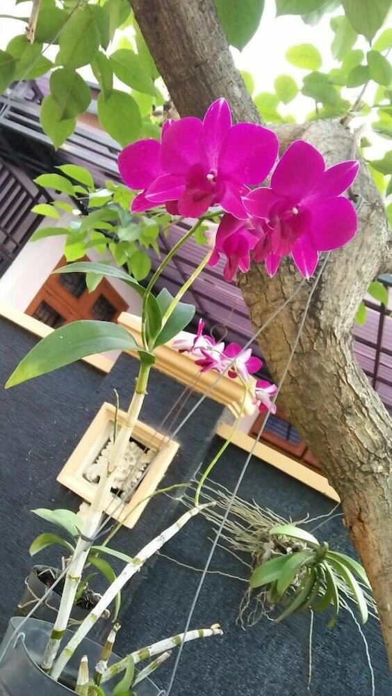 Фото Roemah Canting