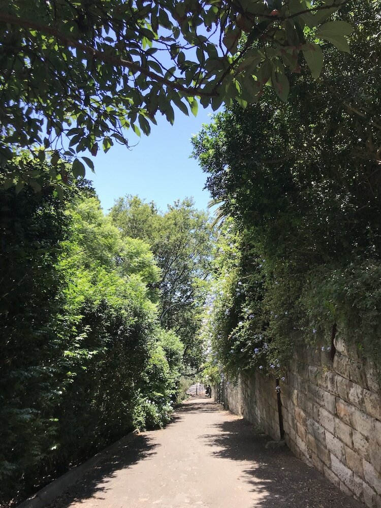 Фото Edgecliff Lodge Motel