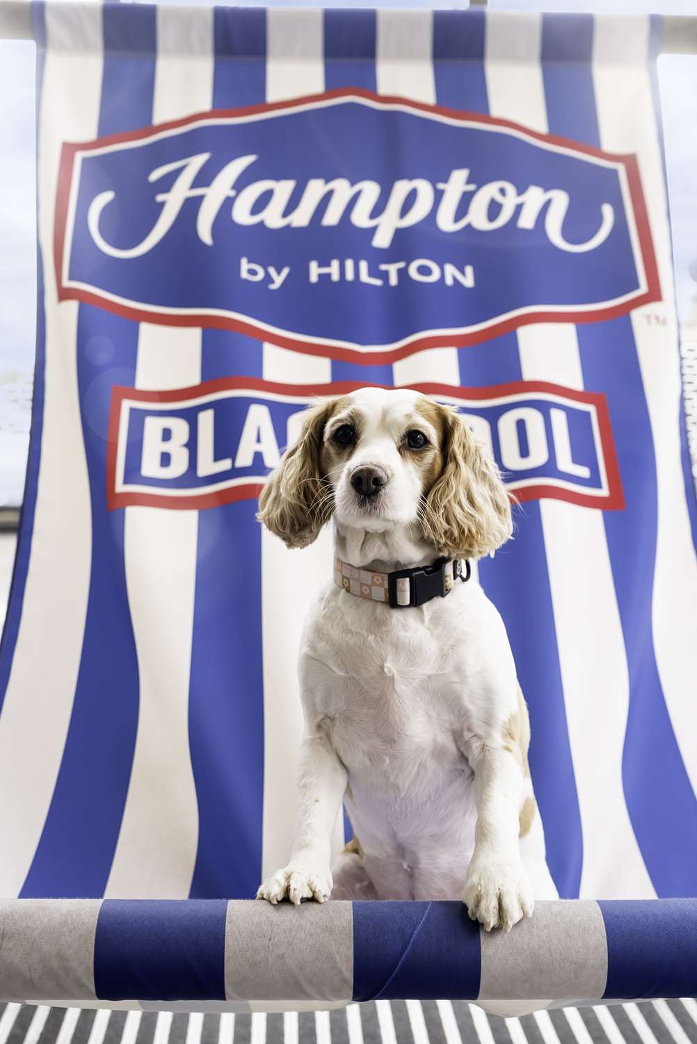 Фото Hampton by Hilton Blackpool