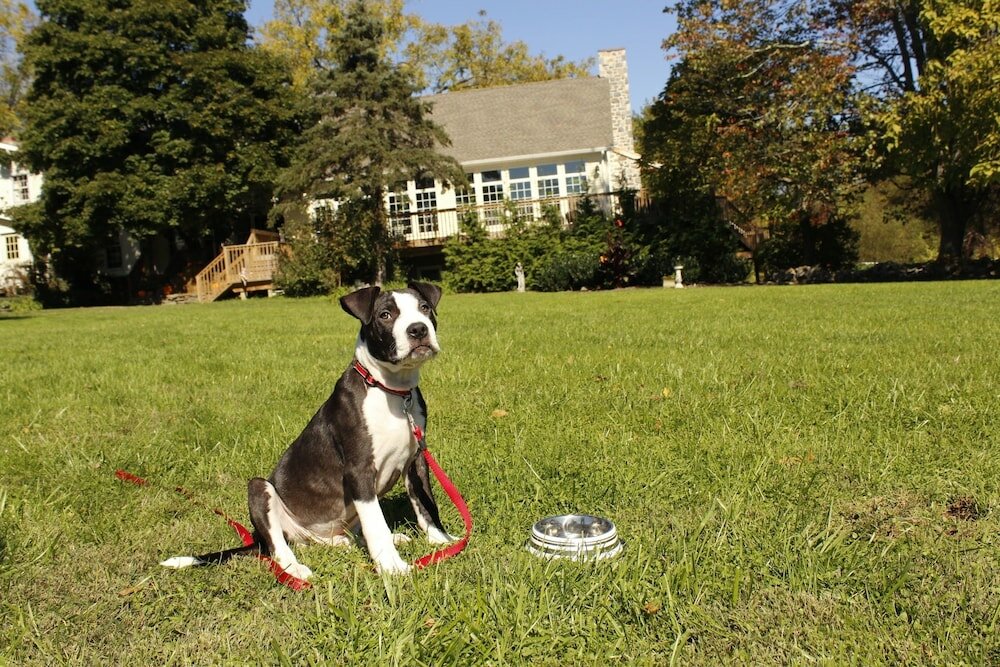 Фото Battlefield Bed & Breakfast Inn