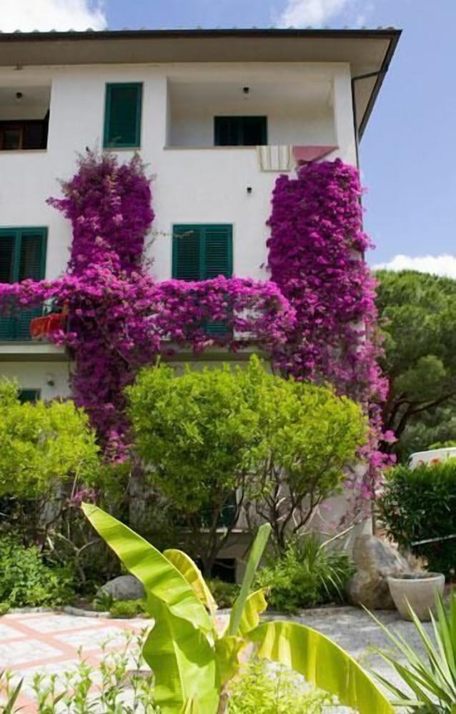 Фото Hotel Brigantino