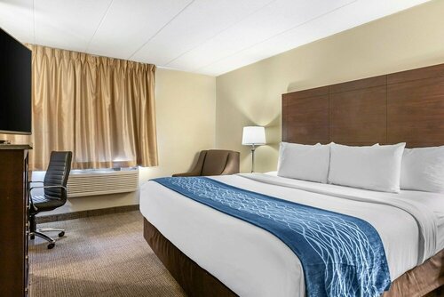 Гостиница Comfort Inn Airport в Гранд-Рапидс