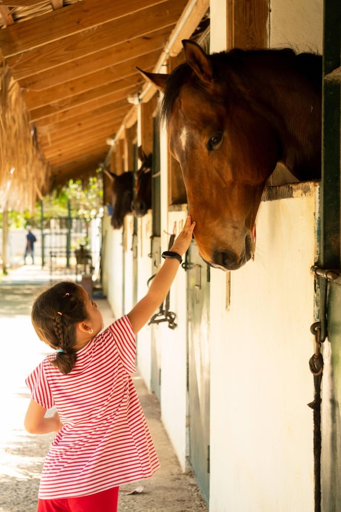 Фото Hotel Casa Hemingway