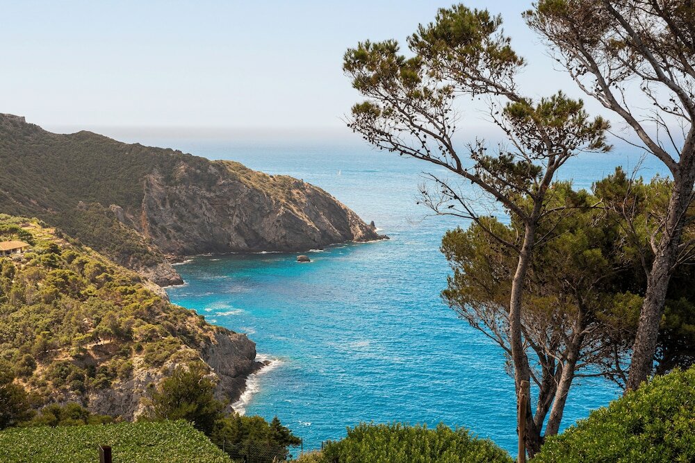 Фото 148068460817