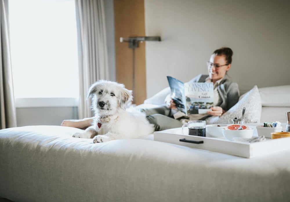 Фото Mill Street Inn