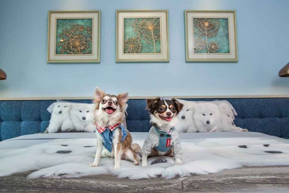 Фото Hill Fresco