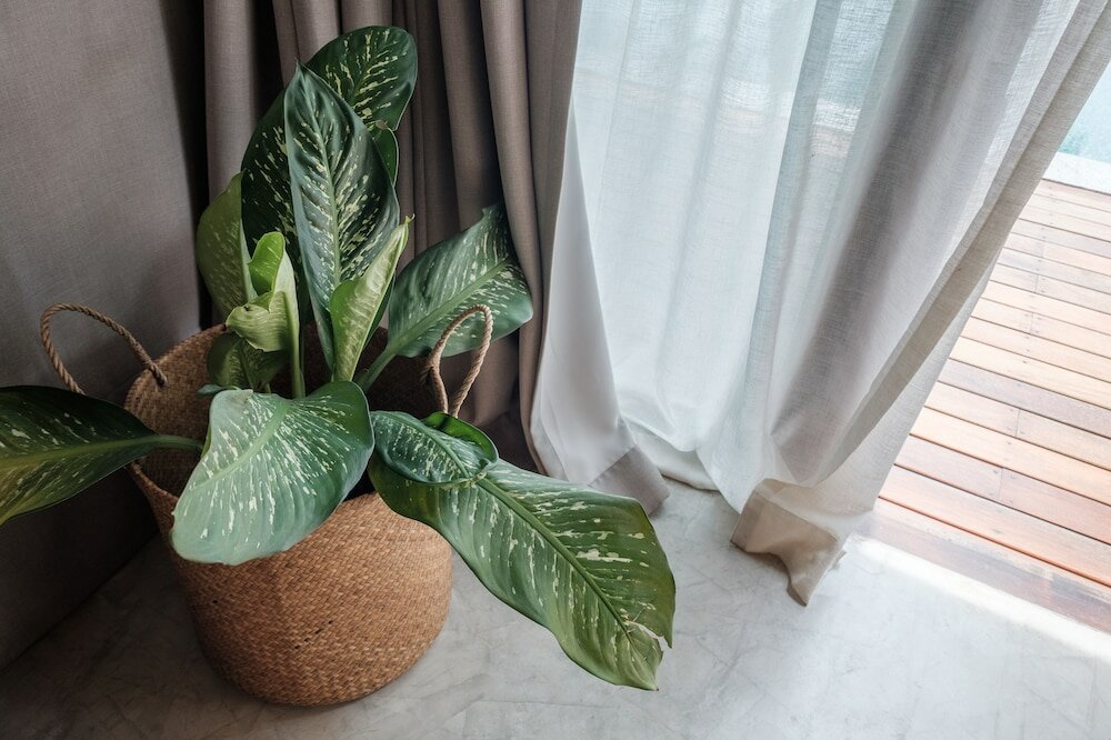 Фото Banana Fan Sea Resort