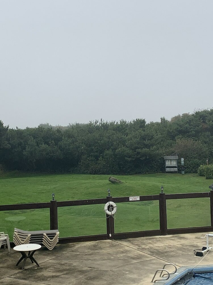 Фото The Grey Gull