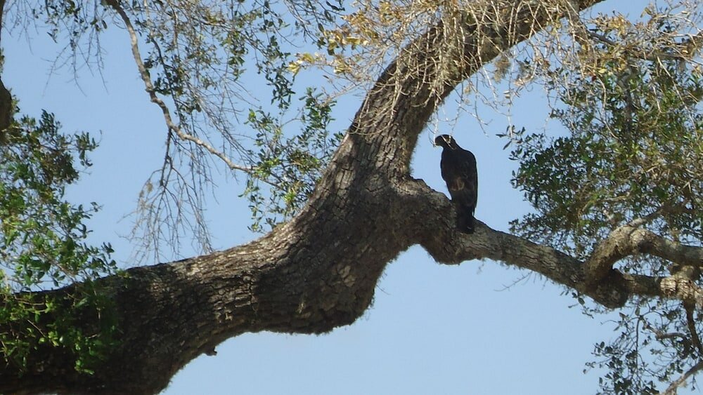 Фото Heina Nature Villa Colombo