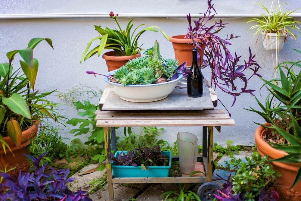 Фото La Controra Hostel