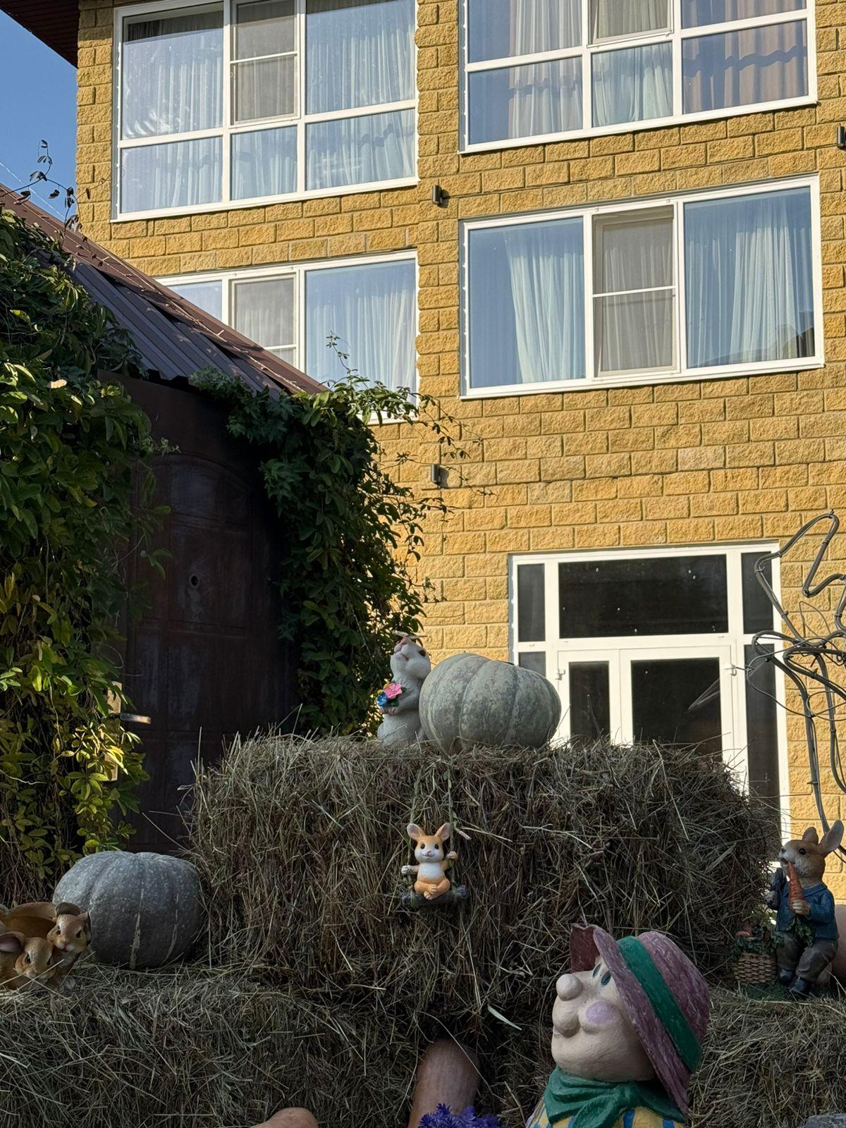 Фото Дом Кролика