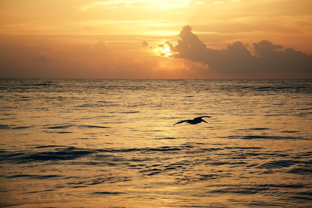 Фото Punta Piedra Beach Posada